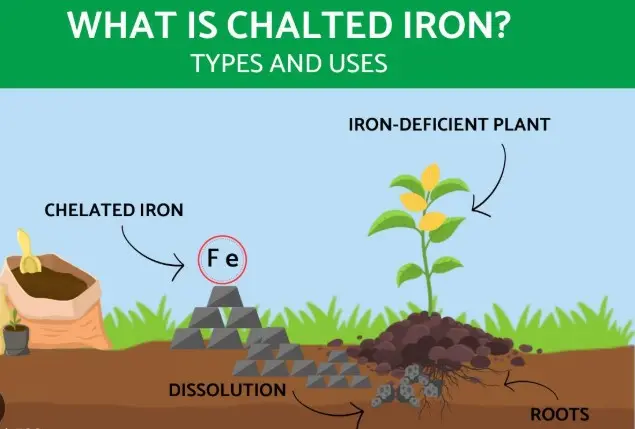 کلات آهن چیست