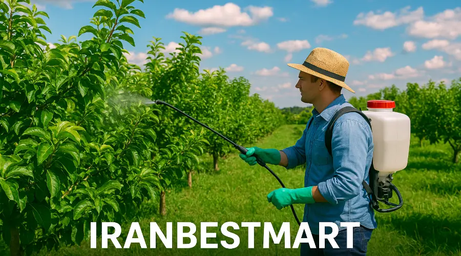 نوردوکس (Nordox) چیست؟